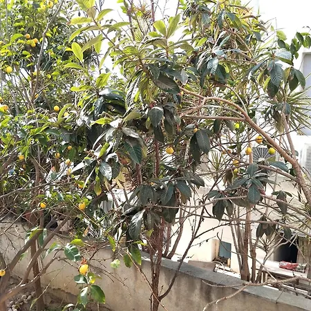 Thiseas 2 * Naxos City