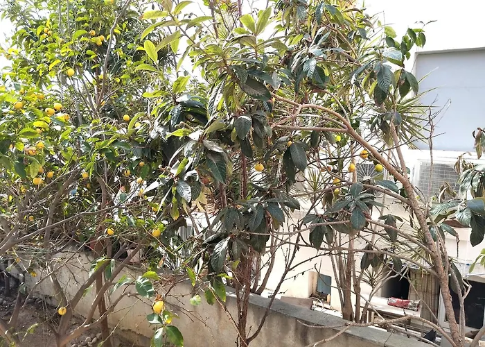 Thiseas 2 * Naxos City